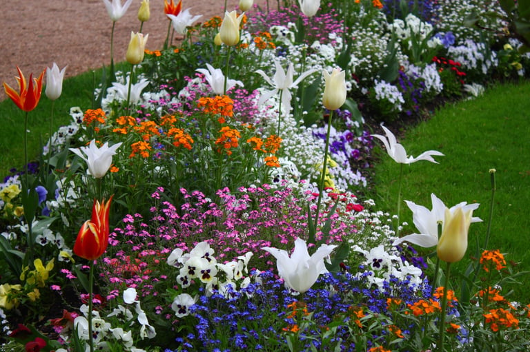 Colourful flowers in the baroque garden