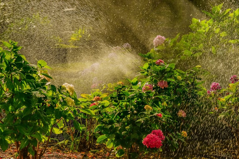 Automatic watering the flowers in the Park