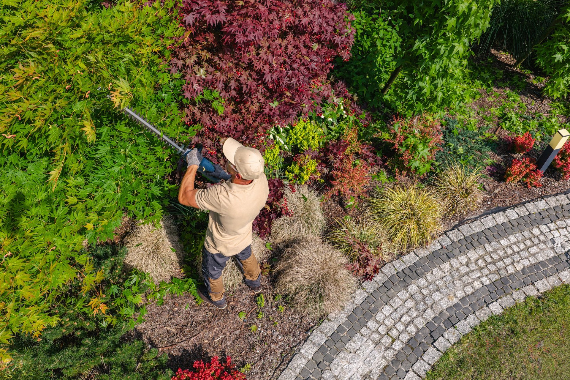 Giardino rigoglioso