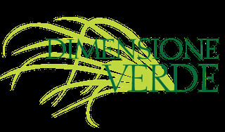 Logo for Dimensione Verde featuring stylized green leaves with overlapping text design