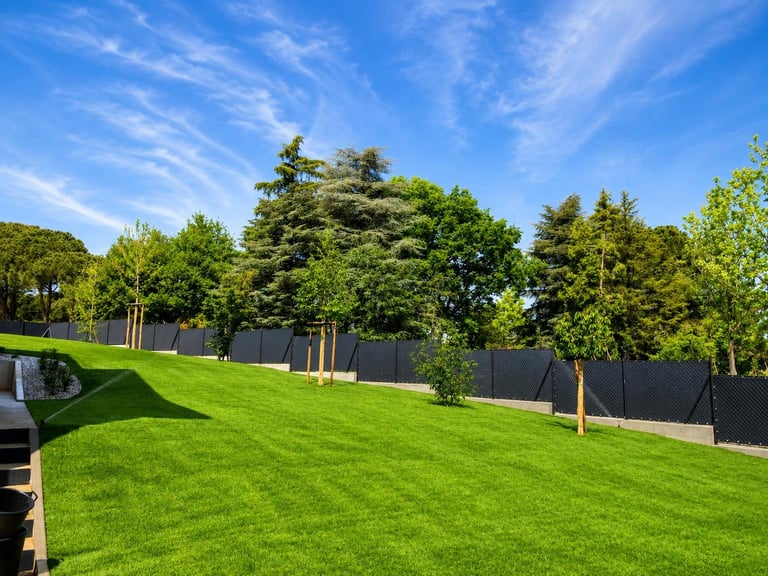 Manicured green lawn with mature trees and black fence under clear blue sky with white clouds